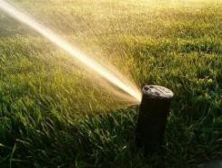 Scottsdale Sprinkler Installation Techs Are Fully Licensed and Insured